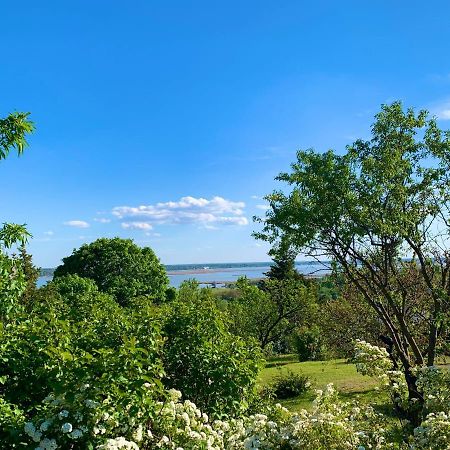 Velencei Vadregenyes Vendeghaz Villa Eksteriør bilde